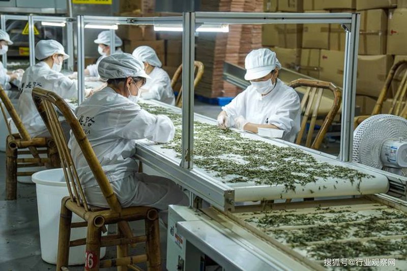 茶叶一件代发：传统与现代的碰撞